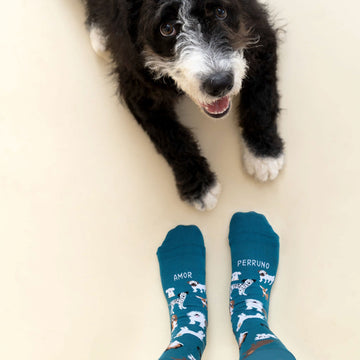 Pack Calcetín "Amor perruno" + Zapatillas Perrito Azul