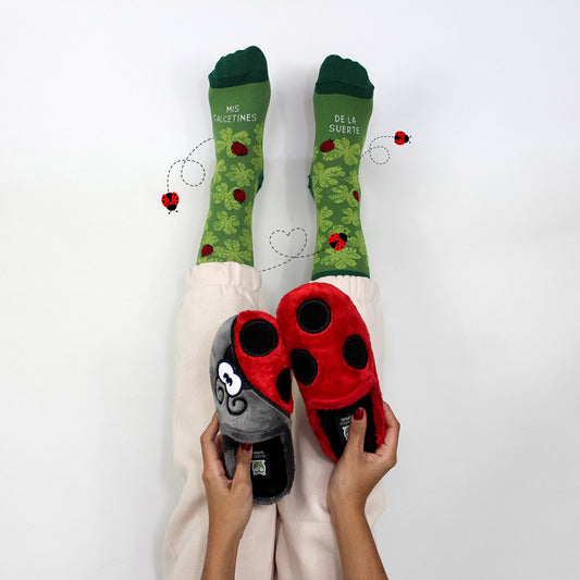 Calcetin "Mis calcetines de la suerte" + Slippers Mariquita Gris y Rojo